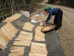 Về nơi ở mới, các hộ dân xã Tân Mai (cũ) vẫn tiếp tục nghề chẻ tăm để kiếm thêm thu nhập
