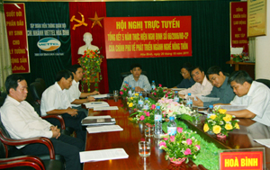 Đồng chí Nguyễn Văn Dũng, Phó Chủ tịch UBND tỉnh cùng lãnh đạo các sở, ngành tỉnh ta tham dự hội nghị trực tuyến.
