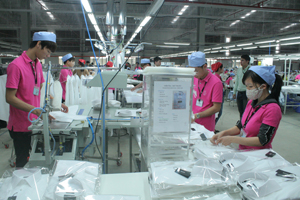 Dự án may mặc xuất khẩu Esquel (KCN Lương Sơn) thực hiện doanh thu và giá trị xuất khẩu đạt trên 9,3 triệu USD, giải quyết việc làm cho 2.232 lao động.