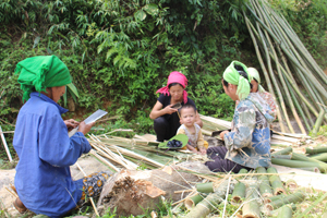 http://www.baohoabinh.com.vn/Includes/NewsImg/10_2014/88067_IMG_4585.JPG