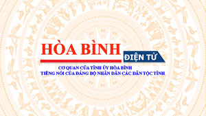 Hướng dẫn trình tự thực hiện dự án đầu tư không sử dụng vốn Nhà nước
