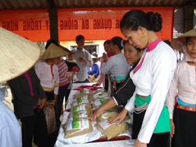 Hàng trăm lượt nông dân tham gia hội chợ giống nông hộ tại chợ Vó, huyện Lạc Sơn.