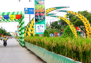 Cây lúa Việt Nam trong lễ hội gạo lần 2.
