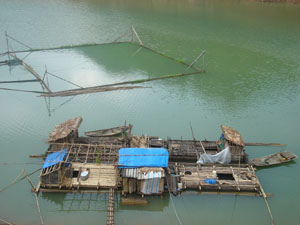 Nghề nuôi cá lồng giúp nhiều hộ dân ở xã Phúc Sạn huyện Mai Châu thoát nghèo.