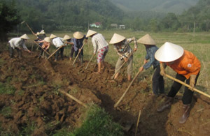 Người dân xóm Bún, xã Yên Mông đóng góp ngày công thực hiện chiến dịch thủy lợi đợt II, tháng 11/2012.