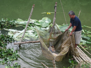 Ông Nguyễn Xuân Trường thu lãi từ 60 - 70 triệu đồng/vụ nuôi cá tại hồ chứa nhỏ.