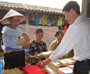 Giống lúa do nhóm sản xuất giống nông hộ xã Phong Phú (Tân Lạc) đáp ứng nhu cầu cung ứng giống tại chỗ cho nhân dân.