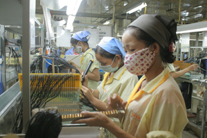 Chi nhánh Công ty TNHH Sankoh Việt Nam tại xã Xuất Hóa giải quyết việc làm cho 500 lao động huyện Lạc Sơn.

