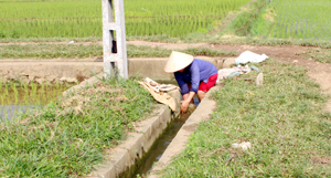 Hệ thống kênh mương xã Liên Vũ (Lạc Sơn) được kiên cố trên 52% phục vụ sản xuất nông nghiệp trên địa bàn.