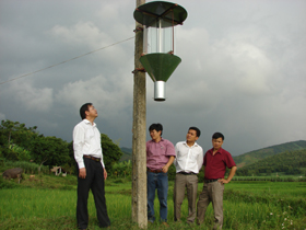 Sử dựng hệ thống đèn bẫy là cách hữu hiệu dự báo và phòng - trừ dịch bệnh.