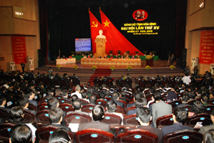 Các đại biểu thống nhất cao thông qua Nghị quyết Đại hội đại biểu Đảng bộ tỉnh lần thứ XV, nhiệm kỳ 2010 - 2015