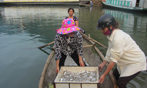 Khai thác, đánh bắt hợp lý với ngư cụ phù hợp giúp bảo vệ nguồn lợi thủy sản trên hồ sông Đà. Ảnh: Khai thác cá tại Cảng Bích Hạ, xã Thái Thịnh (thành phố Hòa Bình).

