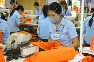 Công ty cổ phần may Đức Giang - chi nhánh Lạc Thủy tập trung phát triển ngành nghề may mặc, tạo việc làm ổn định cho lao động địa phương. 

