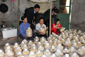 Nhân dân khu Pheo, thị trấn Kỳ Sơn (Kỳ Sơn) phát triển trồng nấm rơm, góp phần giải quyết việc làm, tăng thu nhập.

