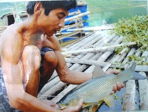 xã Thái Thịnh khai thác lợi thế mặt nước nuôi thủy sản với 79 lồng cá đem lại thu nhập khá cho bà con nông dân.