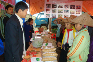 Hội chợ giới thiệu giống nông hộ tại xã Đông Bắc (Kim Bôi) thu hút đông đảo bà con nông dân đến thăm quan.