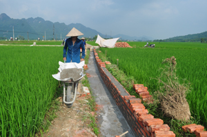 Nông dân xã Địch Giáo (Tân Lạc) đóng góp ngày công kiên cố hóa kênh mương nội đồng phục vụ sản xuất nông nghiệp. 

