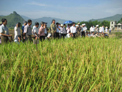 Xã Vĩnh Đồng, Kim Bôi ứng dụng KHKT vào sản xuất góp phần tăng năng suất sản lượng cây trồng