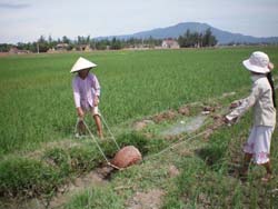 Nông dân huyện Lương Sơn tận dụng các nguồn nước để chống hạn