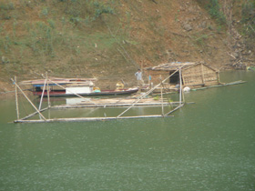 Các hộ dân vùng lòng hồ sông Đà (Đà Bắc) phát triển nuôi cá lồng
