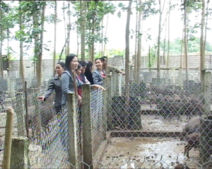 Mô hình chăn nuôi tập trung tại xã Xuất Hóa (Lạc Sơn) đảm bảo an toàn dịch bệnh.