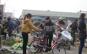 Thị trường hàng hóa dịp Tết đã nhộp nhịp (ảnh tại chợ nông sản Nghĩa Phương) thành phố Hòa Bình.
