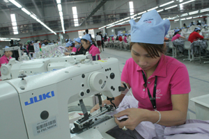 Năm 2014, Công ty May xuất khẩu Esquel (KCN Lương Sơn) thực hiện doanh thu và giá trị xuất khẩu đạt 15 triệu USD, giải quyết việc làm cho 2.200 lao động địa phương.