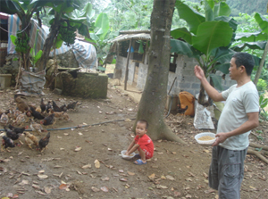 Mô hình chăn nuôi gia cầm bền vững ở xã Bắc Sơn (Kim Bôi) góp phần thực hiện chính sách dân tộc về giảm nghèo.