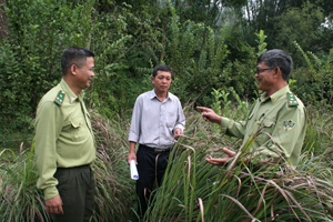 Cán bộ Hạt Kiểm lâm TP Hòa Bình hướng dẫn chủ rừng  thực hiện các biện pháp PCCCR mùa khô 2015 - 2016.