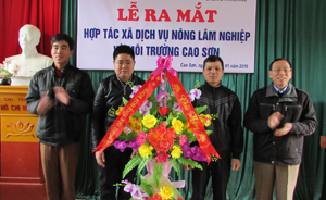 Đồng chí Nguyễn Trường Phong, Chủ tịch Hội Nông dân tỉnh chúc mừng HTX ra mắt.