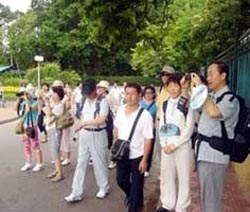 Nhiều du khách tới Việt Nam trong dịp Tết nguyên đán