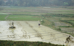 Tranh thủ thời tiết ấm áp bà con xã Tân Vinh (Lương Sơn) ra đồng làm đất và gieo cấy vụ chiêm xuân 2011.