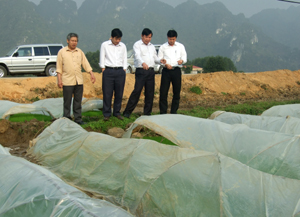 Lãnh đạo huyện Kim Bôi kiểm tra chỉ đạo sản xuất tại xã Hạ Bì.