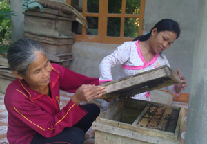 Gia đình bà Bùi Thị ọm ở xóm Nghia là một trong những hộ tiên phong trong phát triển nghề nuôi ong ở xã Lạc Sỹ.