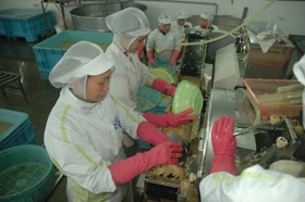 Công nhân Công ty Pacific đảm bảo an toàn vệ sinh trong sản xuất