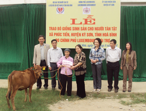 Bà Hoàng Diệu Tuyết, Phó Chủ tịch Hội bảo trợ người tàn tật và trẻ mồ côi trao bò giống cho gia đình bà Nguyễn Thị Vân ở xã Phúc Tiến (Kỳ Sơn).