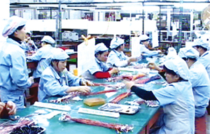 Công ty Bandai 100% vốn của Nhật Bản ở khu công nghiệp bờ trái sông Đà (TPHB) chuyên sản xuất linh kiện điện tử xuất khẩu, tạo việc làm cho trên 100 lao động địa phương.