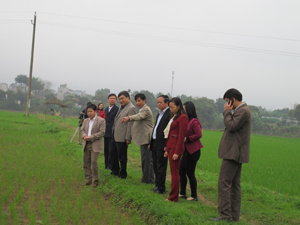 Đoàn kiểm tra đi kiểm tra tình hình sản xuất tại xã Nhuận Trạch, Lương Sơn.

 

