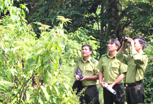 Lực lượng kiểm lâm BQL khu bảo tồn thiên nhiên Phu Canh thường xuyên tuần tra, chủ động các biện pháp phòng, chống cháy rừng trong mùa hanh khô.

