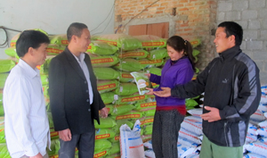 Các thành viên HTX Dịch vụ nông nghiệp Kim Tiến (Kim Bôi)  kiểm tra hàng hóa trước khi cung ứng cho người dân.