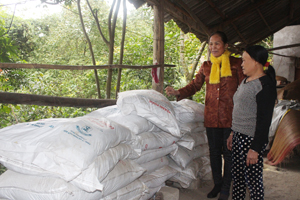 Bà Nguyễn Thị Bình (bên trái), Giám đốc HTX nông nghiệp bản Dao, xã Thống Nhất (TP Hòa Bình) hướng dẫn xã viên cách sử dụng phân bón hữu cơ cho cây mía nguyên liệu.