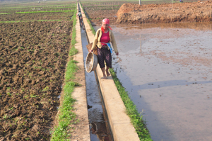 Hệ thống kênh mương xã Mai Hạ (Mai Châu) được xây dựng kiên cố theo tiêu chí NTM phục vụ sản xuất nông nghiệp.
