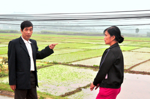 Ông Nguyễn Văn Cảnh trao đổi với hội viên nông dân  về vụ chiêm - xuân năm 2015.