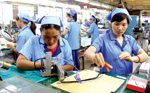 Công ty SanKoh 100%  vốn Nhật Bản đã mở rộng sản xuất, tạo việc làm ổn định cho 1.500 lao động địa phương.
