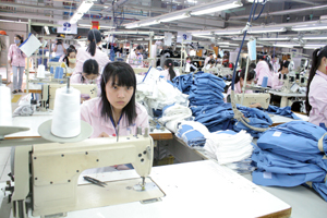 Công ty May Seyong INC - Hàn Quốc (KCN Lương Sơn)  giải quyết việc làm cho 800 lao động, chủ yếu là người địa phương.