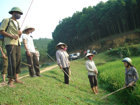 Được sự hướng dẫn của cán bộ Trạm  BVTX huyện, nông dân xã Yên Bồng thực hiện phun thuốc phòng trừ sâu bệnh hại lúa.