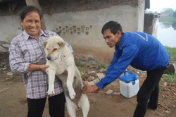 Nhân dân phường Phương Lâm, TPHB đưa chó đi tiêm phòng, phòng chống dịch trong mùa hè.