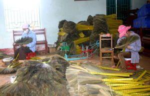 Nghề làm chổi chít xuất khẩu tạo việc làm và thu nhập thường xuyên cho bà con xã Toàn Sơn (Đà Bắc).