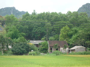 Hộ gia đình Anh Hồ Xuân Thìn, thôn Lai Trì, xã Cao Thắng nơi phát hiện dịch bệnh lạ và các hộ gia đình liền kề.
