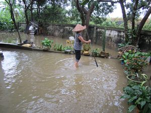 Đến chiều 26/5, nước vẫn ngập từ 15-20 cm tại sân, vườn 1 số hộ dân ở khu tập thể Mía Đường.